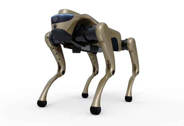 Champagne Gold &ndash; Light Luxury Texture