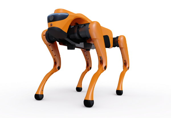 Vibrant Orange &ndash; Dynamic & Eye-catching