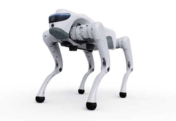 Space White &ndash; Minimalist & Versatile