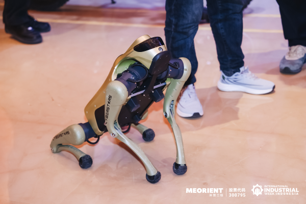 Cyerbstars1 App download