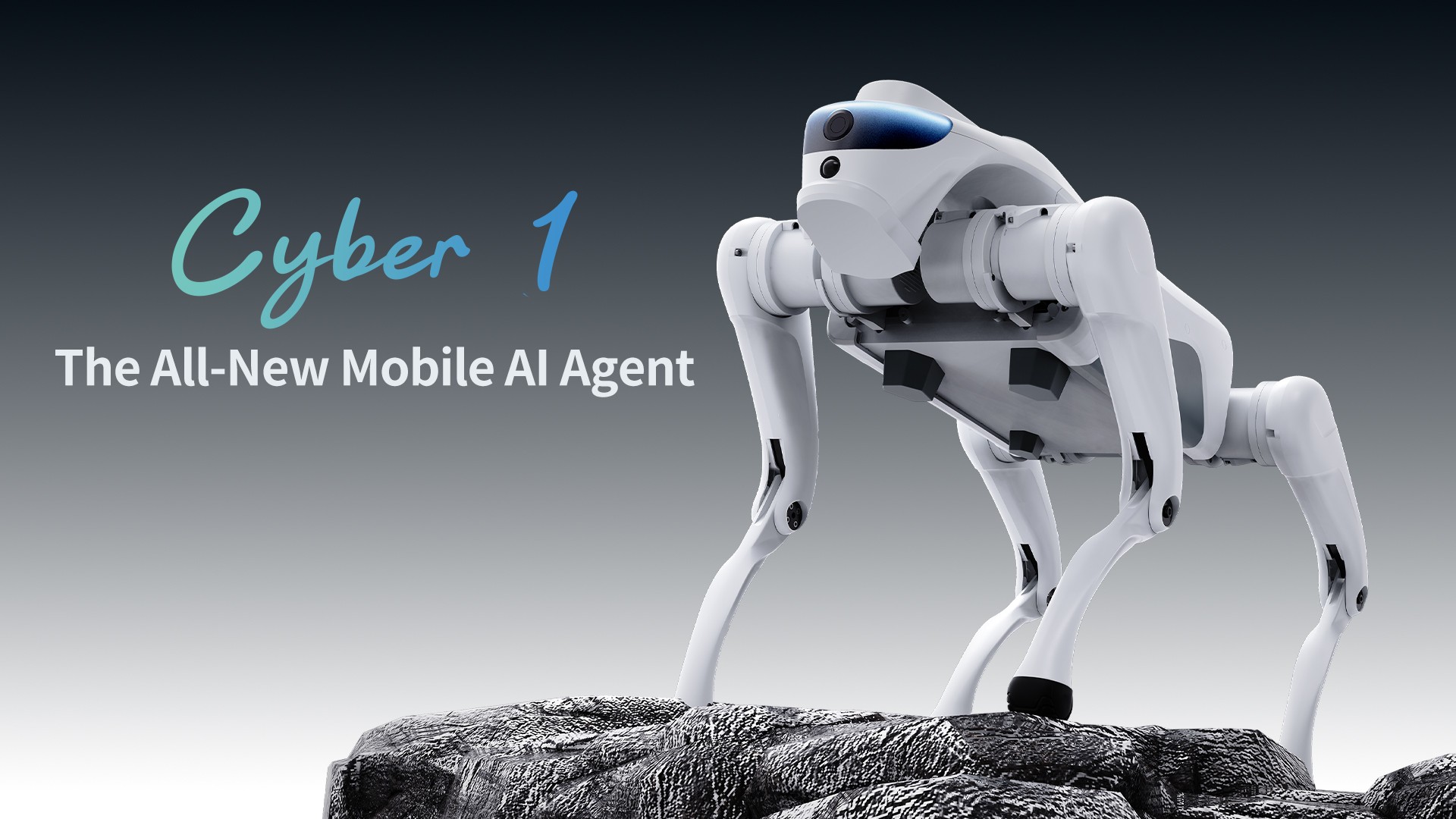 网站封面_石头站立 en.jpg